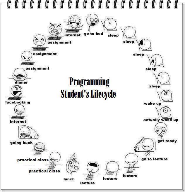 Programming Student's Lifecycle